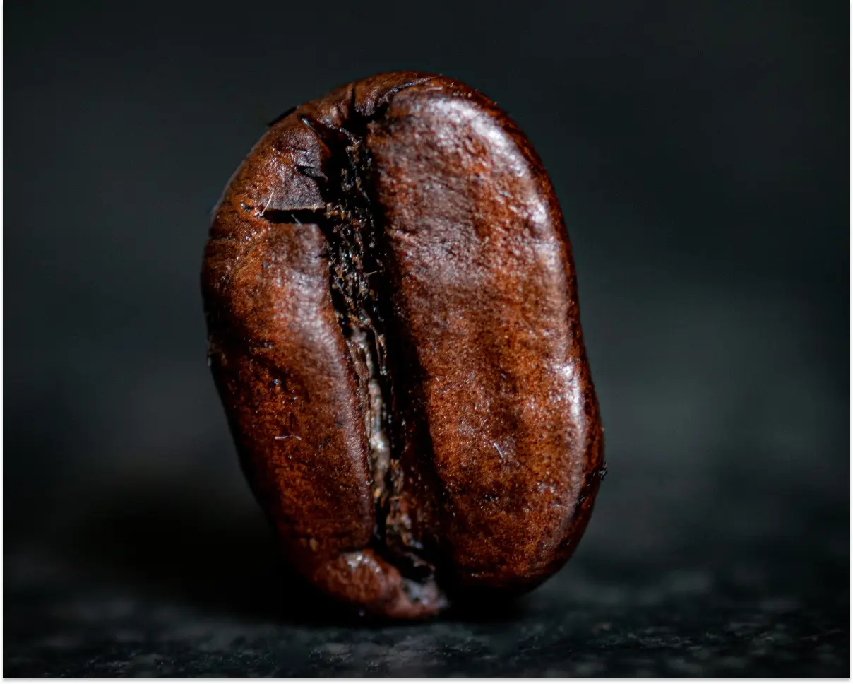 Oily Coffee Beans Understanding the Role of Oils in Coffee Flavor